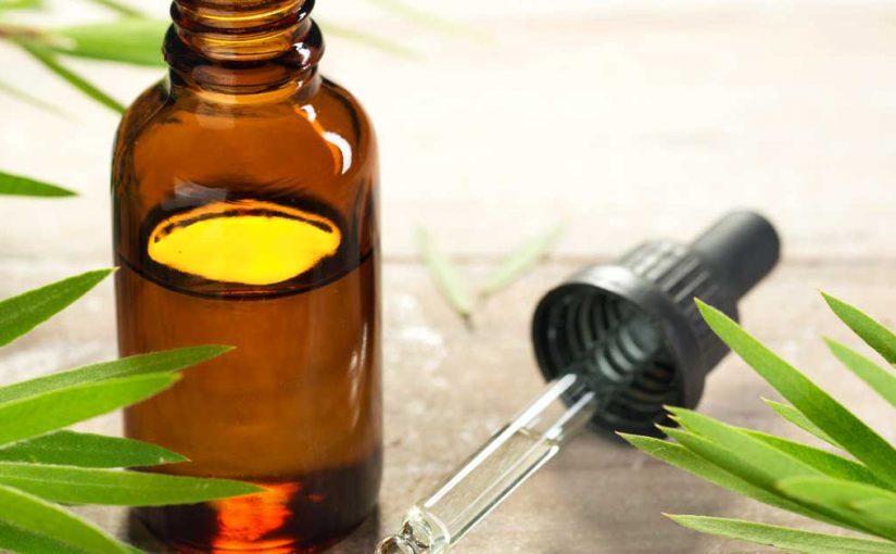  Ulje čajevca za kosu: za rast, protiv vaški, za masnu kosu bez peruti!