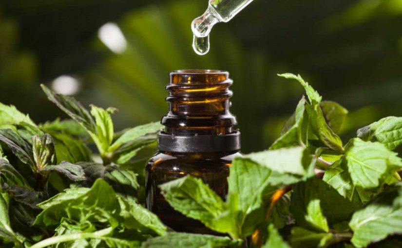  Ulje mente za kosu sprečava opadanje i ubrzava rast!