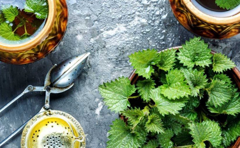 losion od koprive protiv opadanja kose