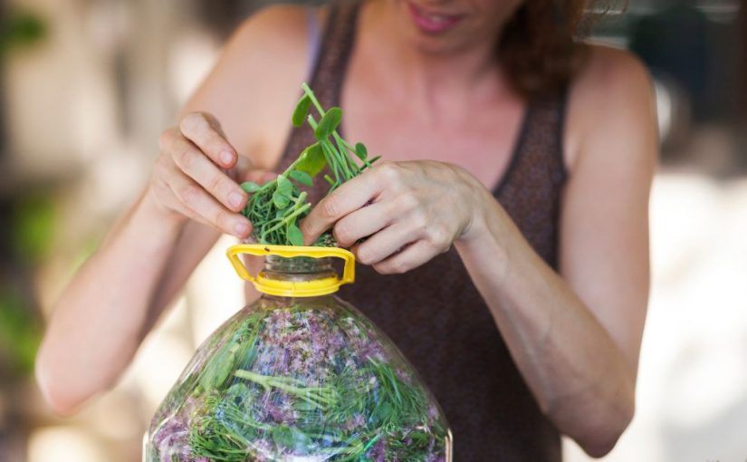  Evo koja je najbolja tinktura za rast kose