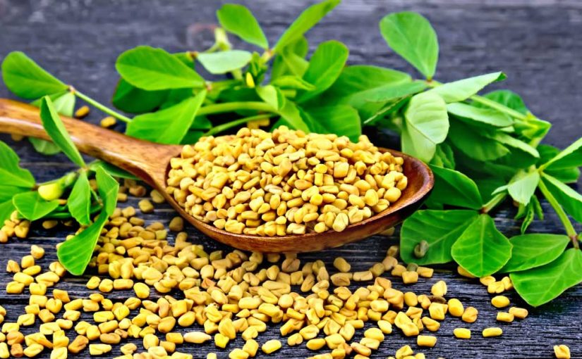  Piskavica za kosu regeneriše dlaku. Probajte!